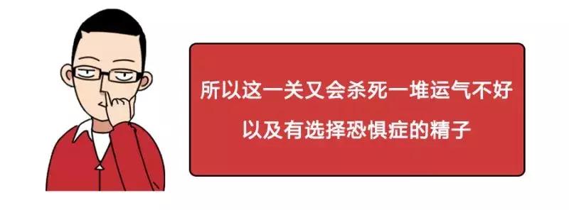 「漫画图解」精子先生“过三关斩六将”的求爱之旅