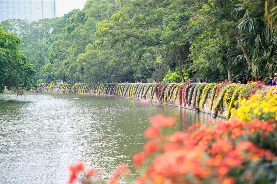 深圳吃喝玩乐一整天,深圳吃喝玩乐一天攻略