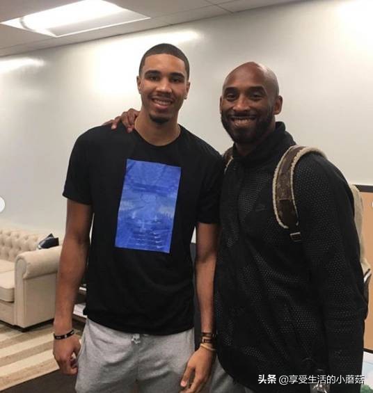 塔图姆紫色护腕,塔图姆手臂护腕