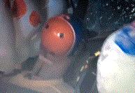 *萨特帕**“中保研”拿G是充值?