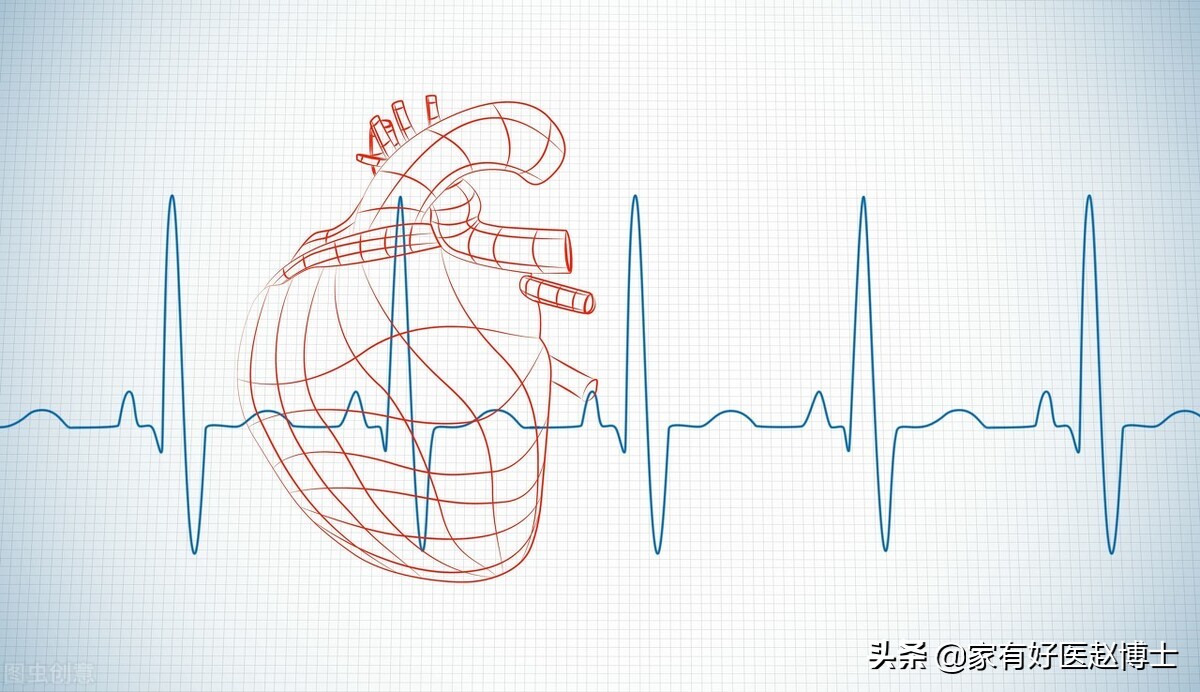 心跳越快，寿命越短？“理想的心率”应该具有哪些特征？