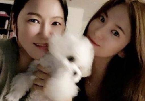 网传玄彬宋慧乔复合是真的吗,宋慧乔玄彬要复合吗