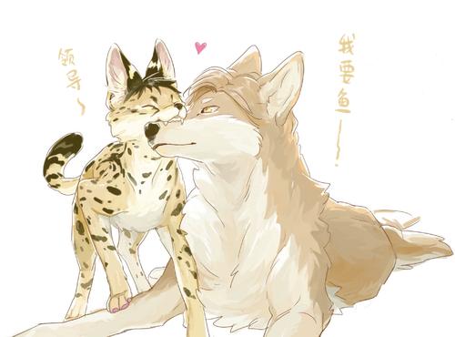 【破云吞海*刀刺**】自家老公喝醉了