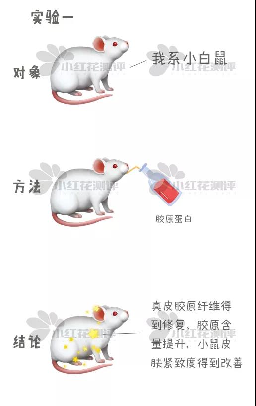 胶原蛋白口服液十大排名官方,胶原蛋白口服液五个女博士测评