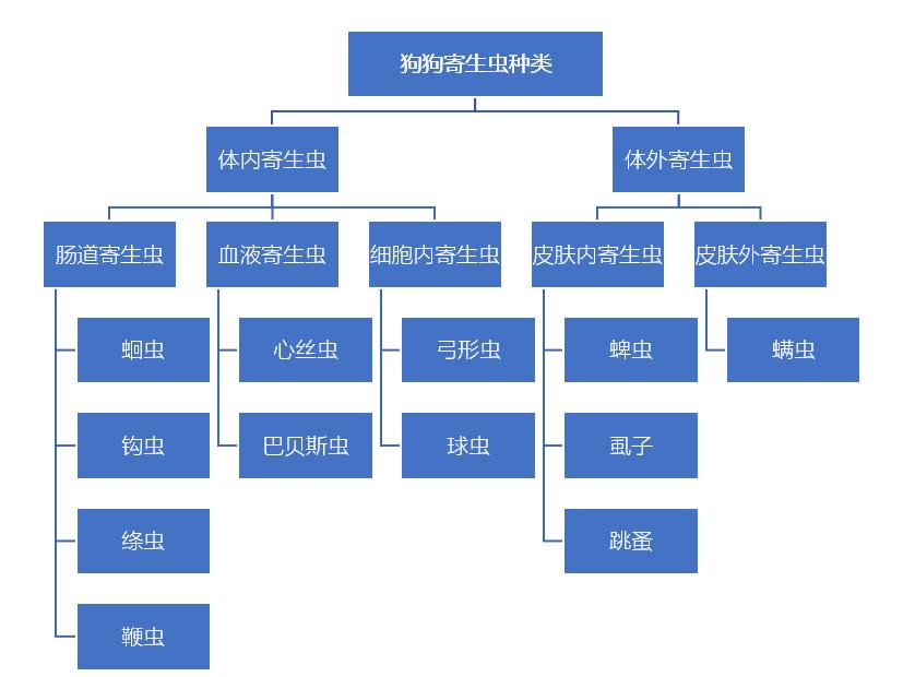 狗狗体内外寄生虫有哪些？看完这篇再也不用为这事儿发愁了