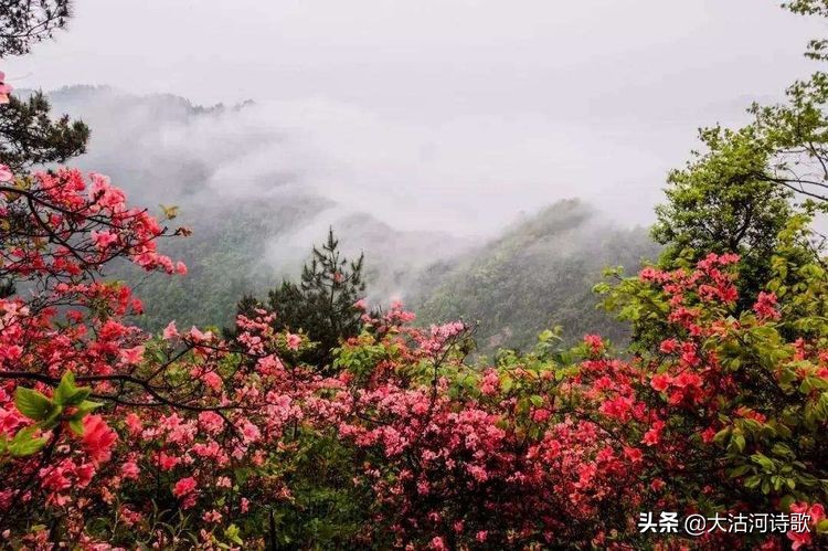 致敬中国英烈诗词,纪念先辈缅怀英烈的诗句