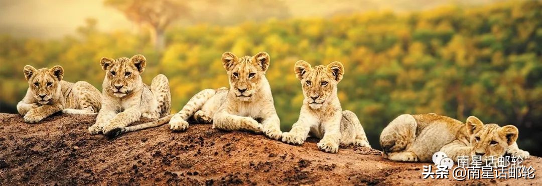 海上最大的豪华套房,海景度假超豪华房子