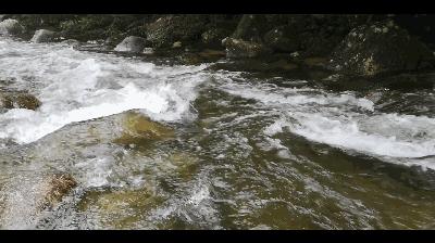 贺州姑婆山景区国家森林公园,贺州姑婆山森林公园路线