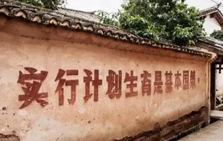 乡村爱情兰妮出生,王为念妻子黑妮出生年龄