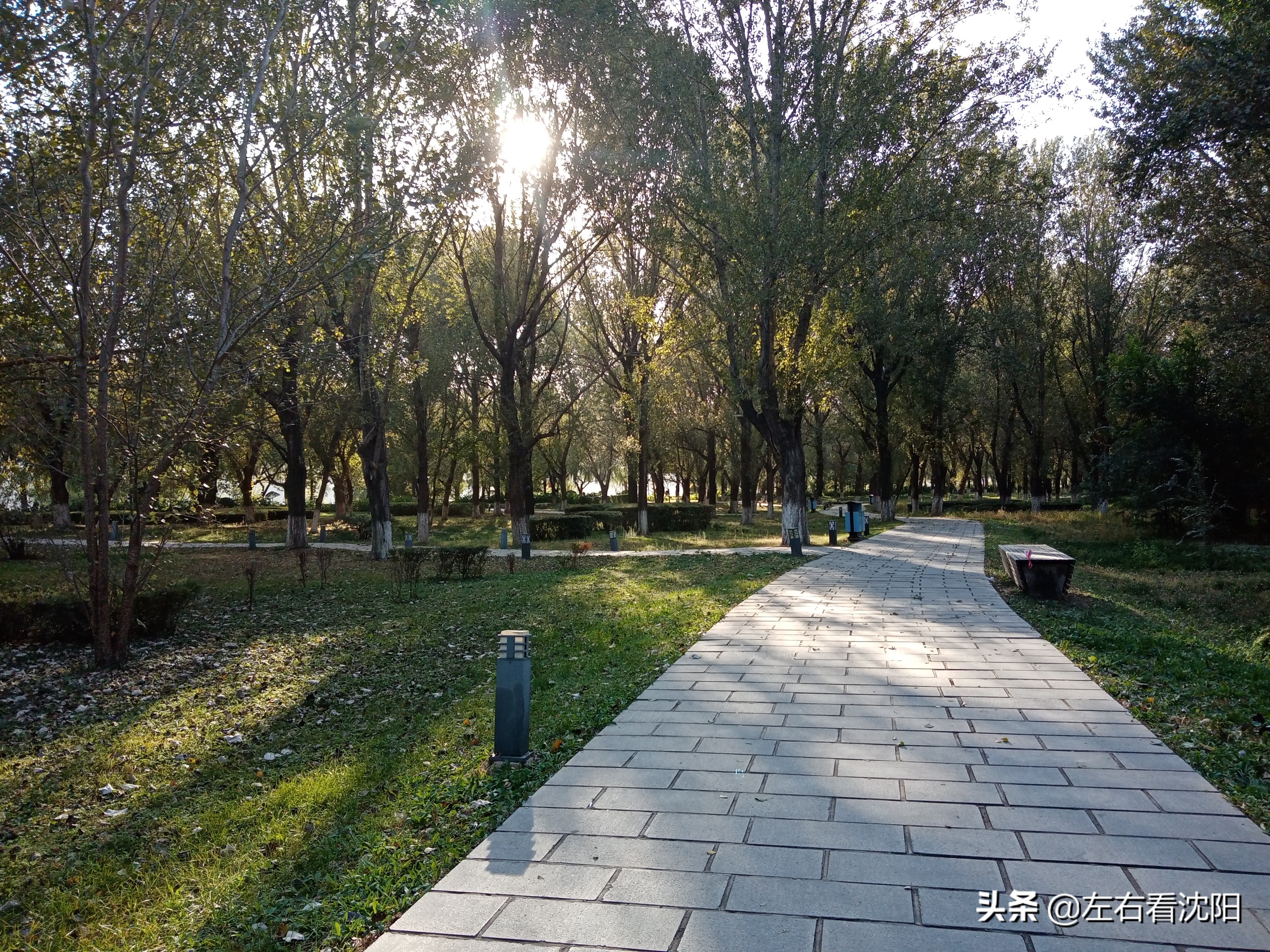 沈阳沈水湾公园看日出,沈阳浑河看海的地方