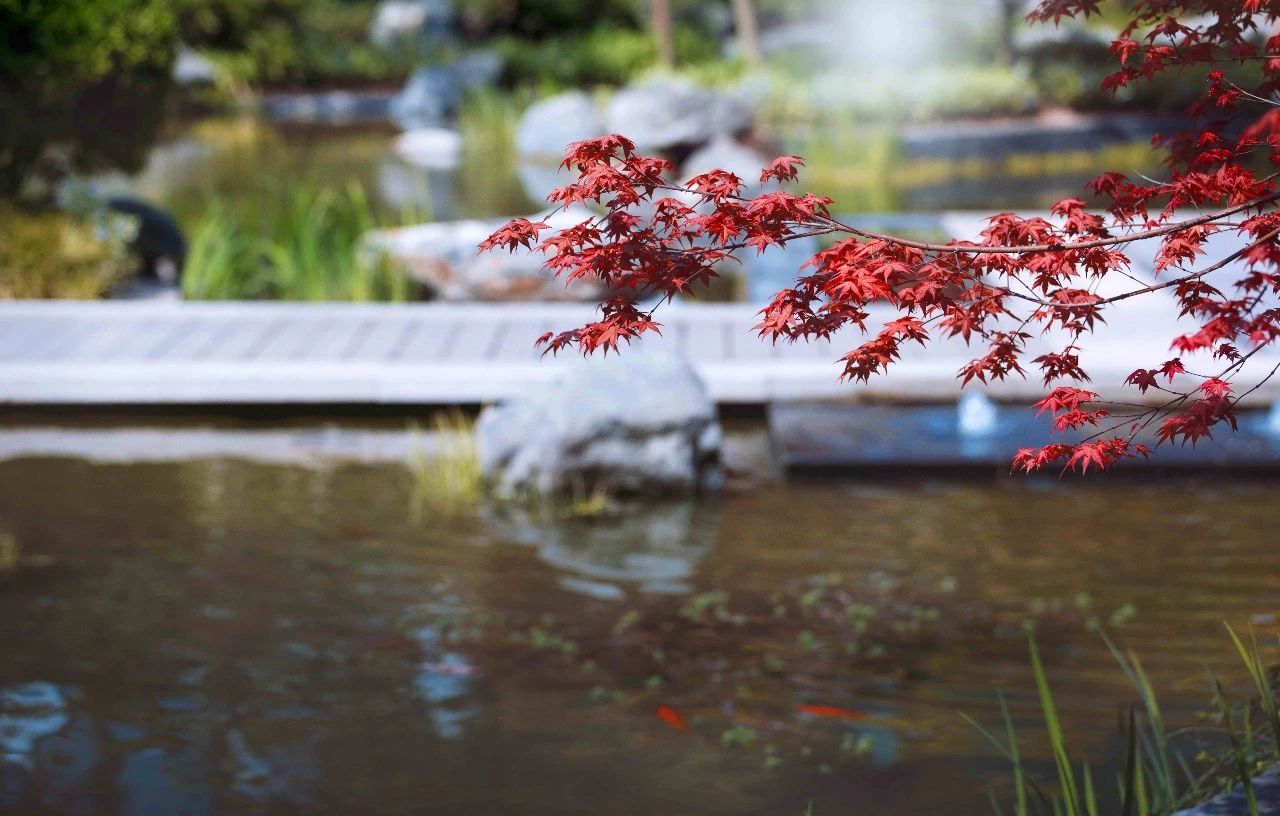 鎴愰兘澶╁簻鏂板尯涓痉楹撳簻,鎴愰兘澶╁簻鏂板尯涓痉楹撳簻鍏瘬