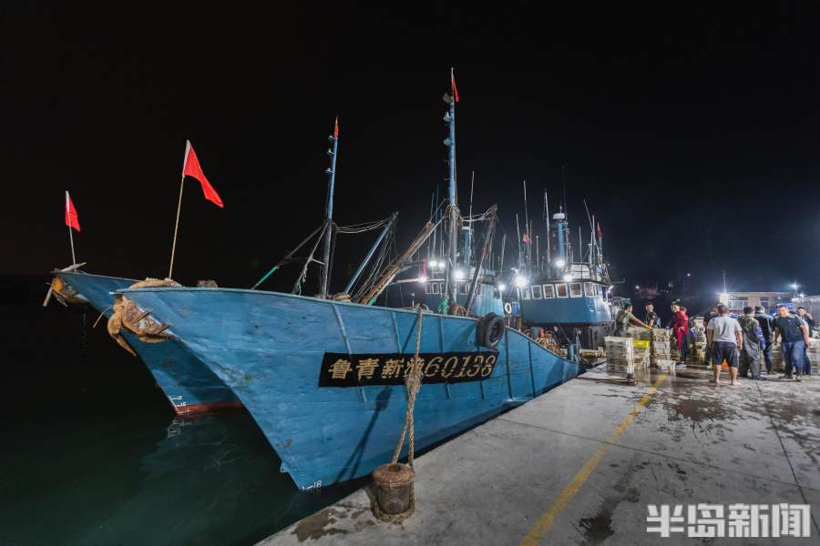 一线视察直击现场,一线记者直击