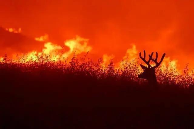 为什么中国的作业最多,为什么中国的作业留得这么多