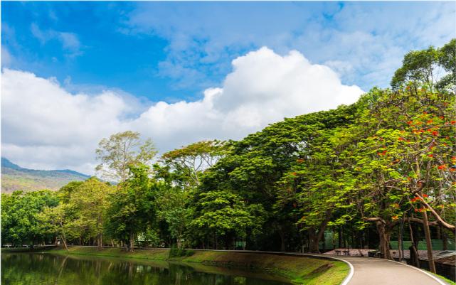 谢伦灿谈文化创新,谢伦灿谈文化价值