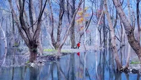 江西十大旅游秘境,春节绍兴去江西十大最美自驾路线