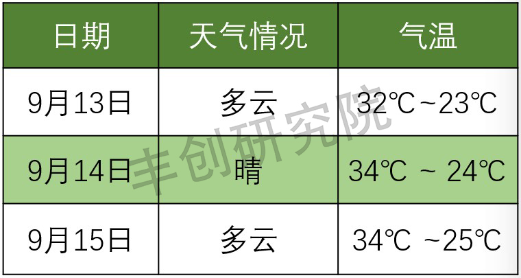柑橘树浇灌粪水后烂根如何补救,柑橘叶子黄了是什么病