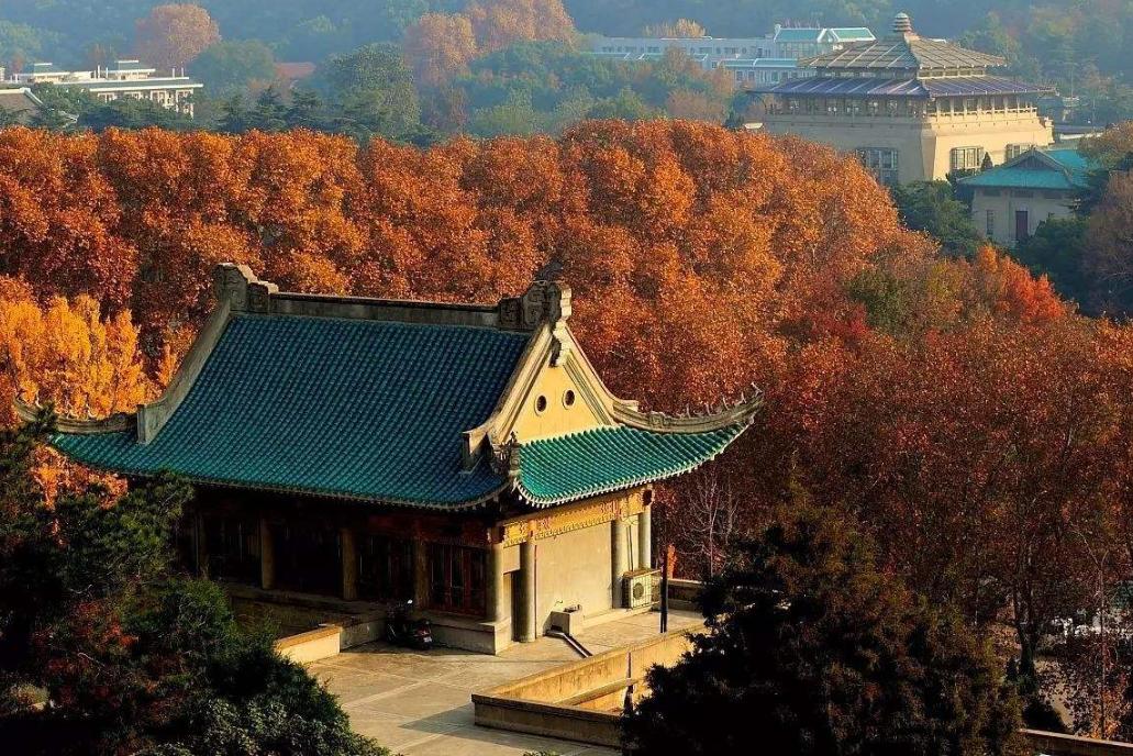 武汉开学震撼画面,夏季的武汉大学风景