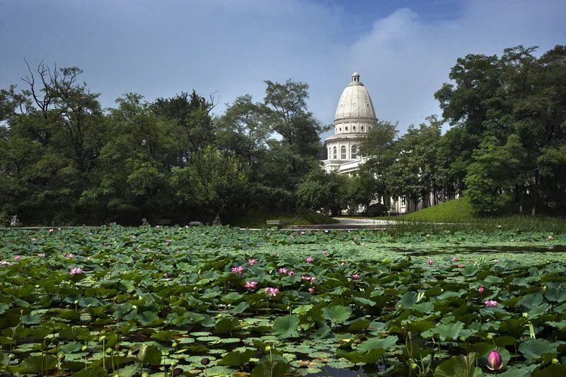 让那熟悉的旋律《绿岛》，带你我推开新学期的大门！