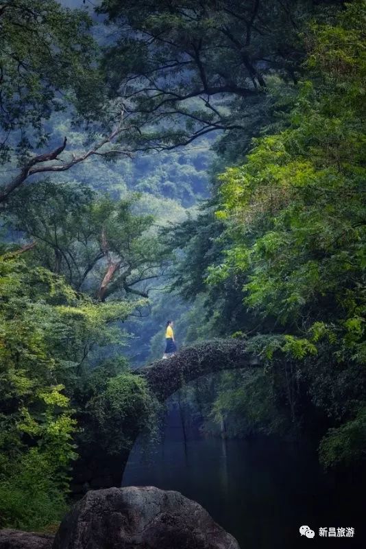 绍兴最美古镇排名,绍兴十大最美乡村