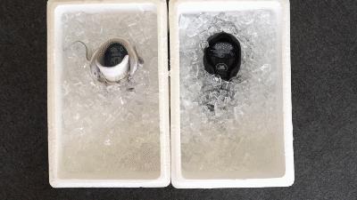 保暖鞋黑科技零下30度穿户外,太空保暖鞋