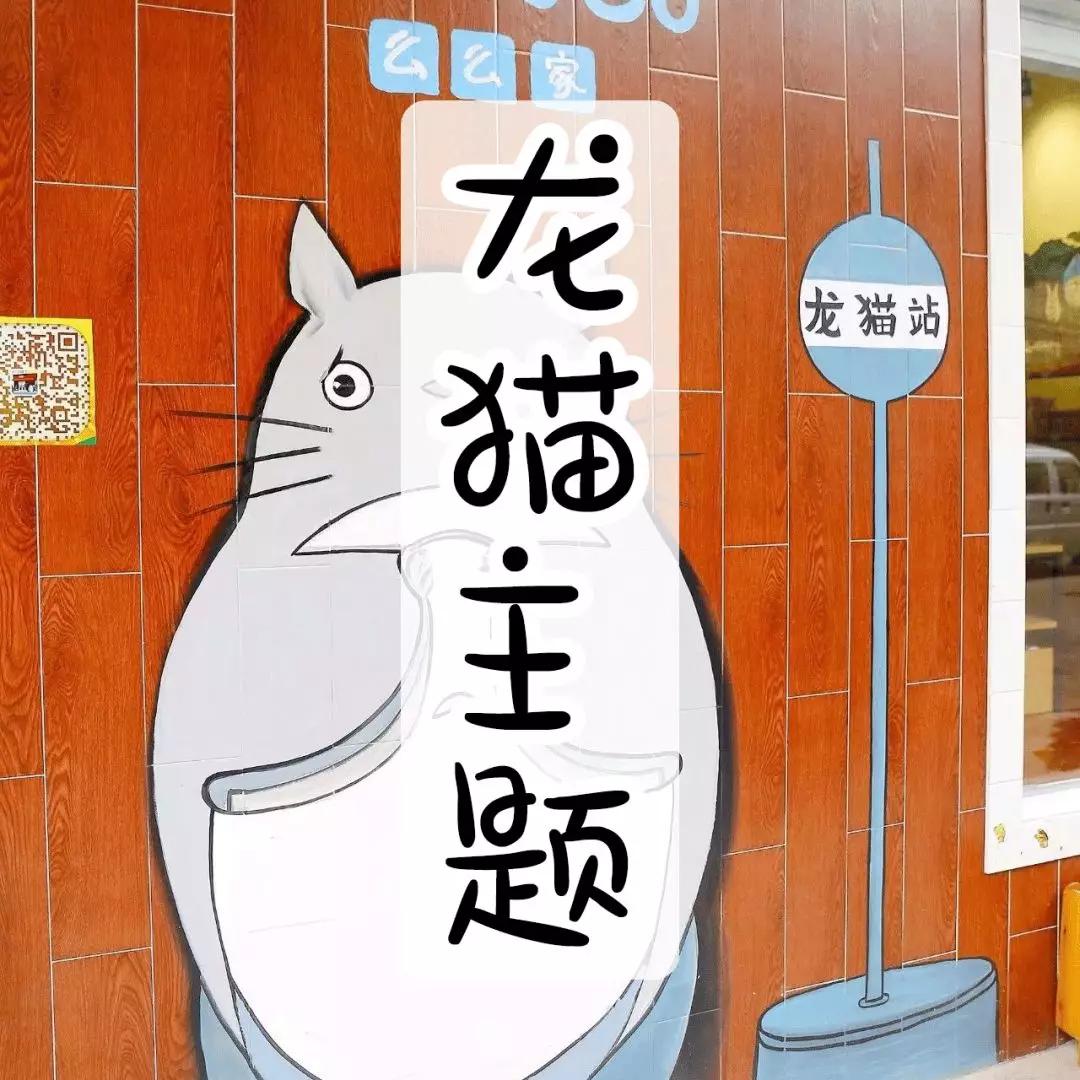 日本进口龙猫主题店,日本龙猫主题店