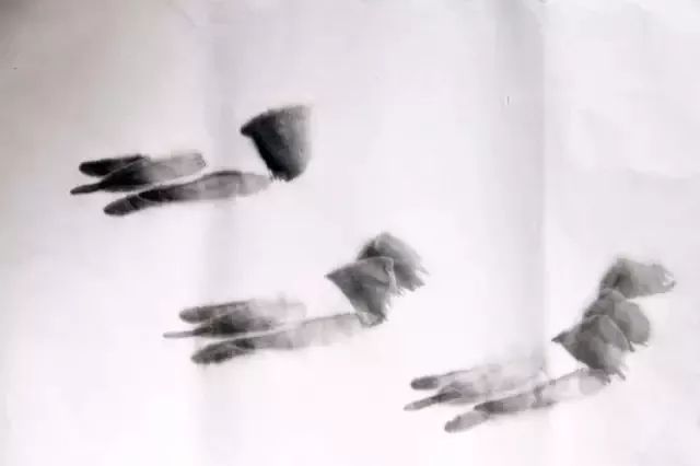 伍建丰画虾步骤图,画虾蟹的步骤图解