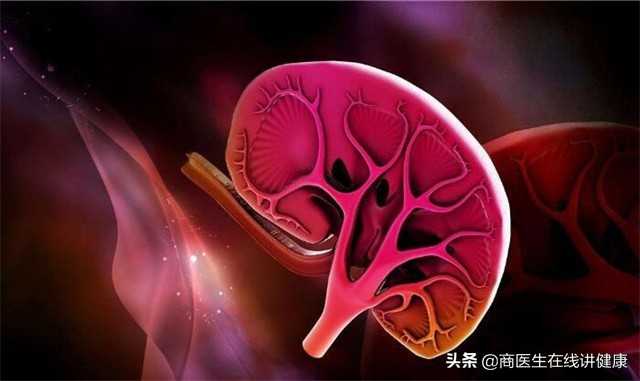 肌酐偏高怎么治好和预防,肌酐高肾病怎么治怎么降
