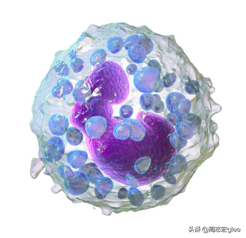 蚊虫叮咬为什么又肿又疼,蚊虫叮咬挠烂后痒