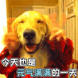 住在一楼容易胖吗,住在广东省广州市的人