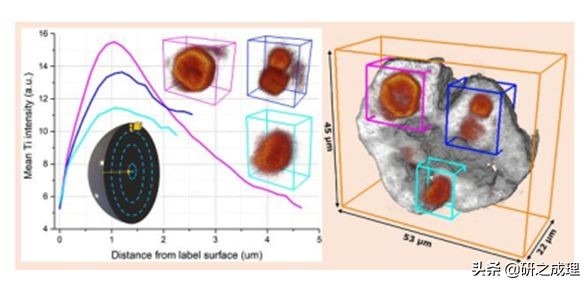 鍌寲蹇姤鏈熷垔,鍌寲鏉傚織灏侀潰