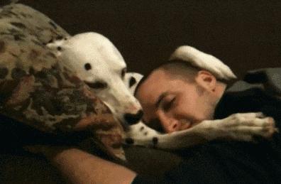 从热血笨蛋到垮掉一代，你的鸡汤何时被人下了毒