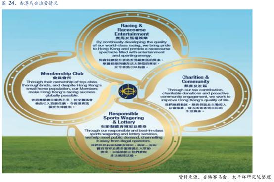 体育行业报告,体育赛马项目介绍