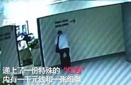 这才是董卿真实的样子,董卿跪地为什么获得网友的称赞