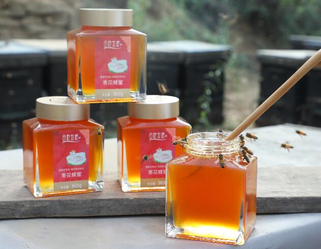 蜜蜂是怎么采蜜的简单过程,蜜蜂是怎样采蜜的在哪采蜜