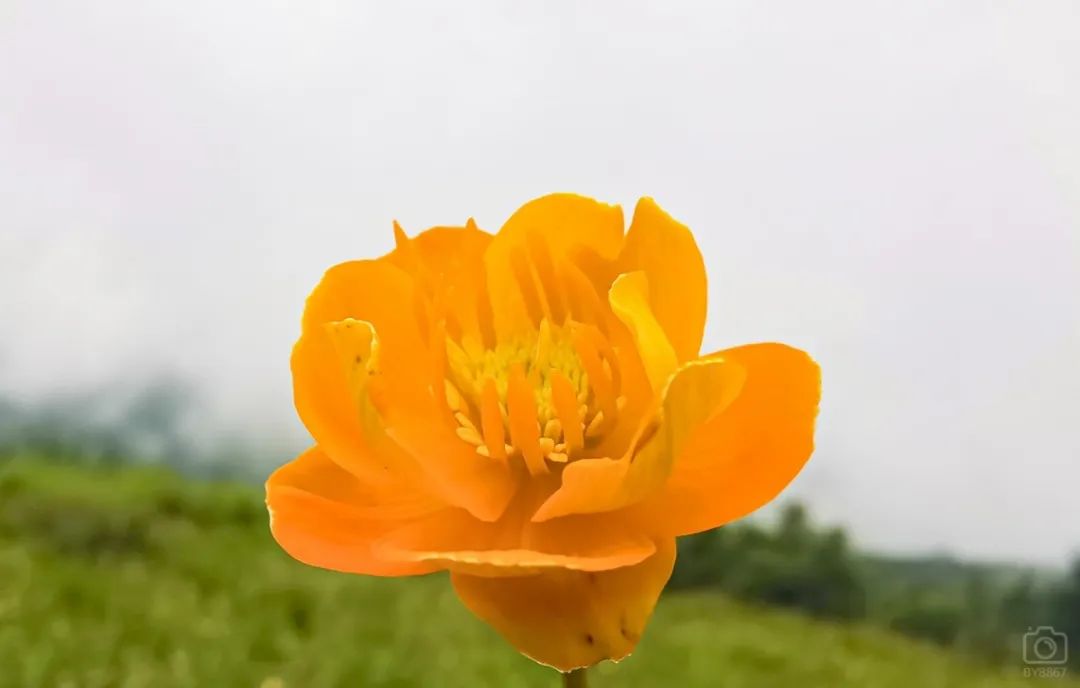 徒步穿越北驼梁完整版,穿越花海古道游记