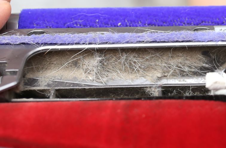 家狗身上痒有脱毛现象怎么办,狗到夏天脱毛特别严重