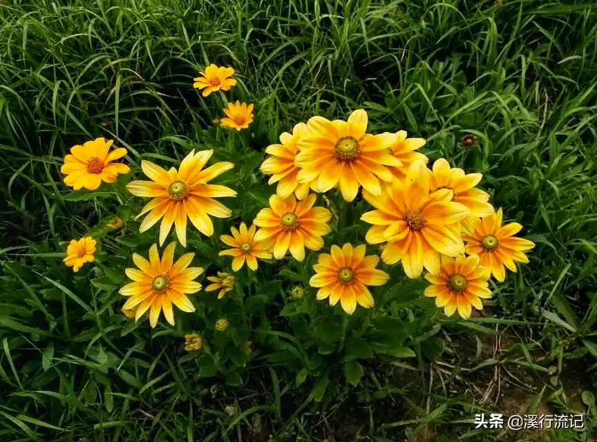 锦州世博园公交车时间表,锦州世博园9月中旬