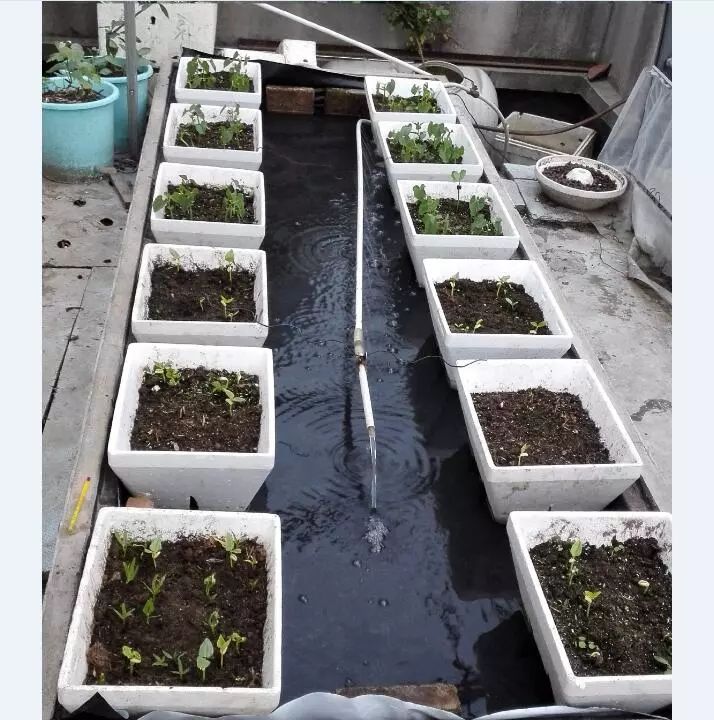 二培箱安装视频教程,池氏二培