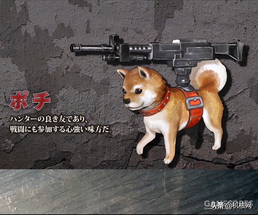 重装机兵波奇的装备,重装机兵波奇怎么获得