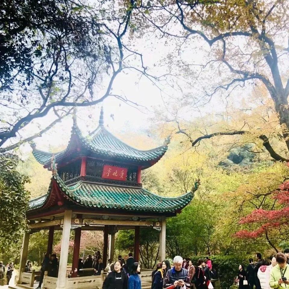 长沙适合野餐的地方,长沙周边遛娃一日游玩最佳地方