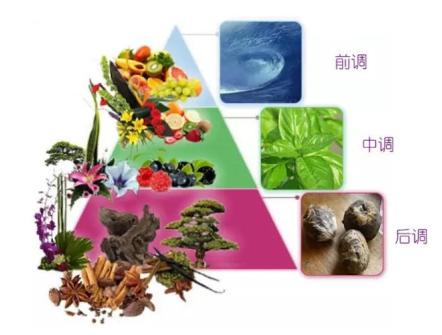 香水小白入门必看,香水小白如何快速了解香水