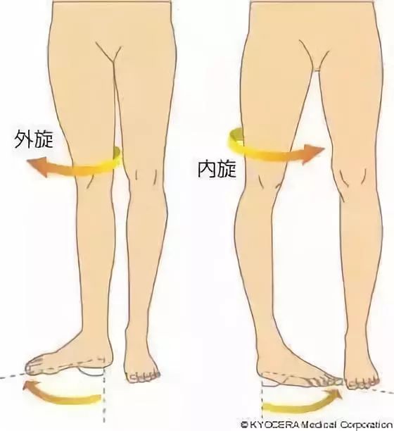 上身很瘦下身胯部宽,上身很瘦而下身正常