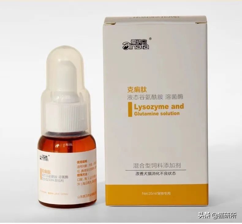 一学就会的训猫技巧,手把手教你给猫咪喂药