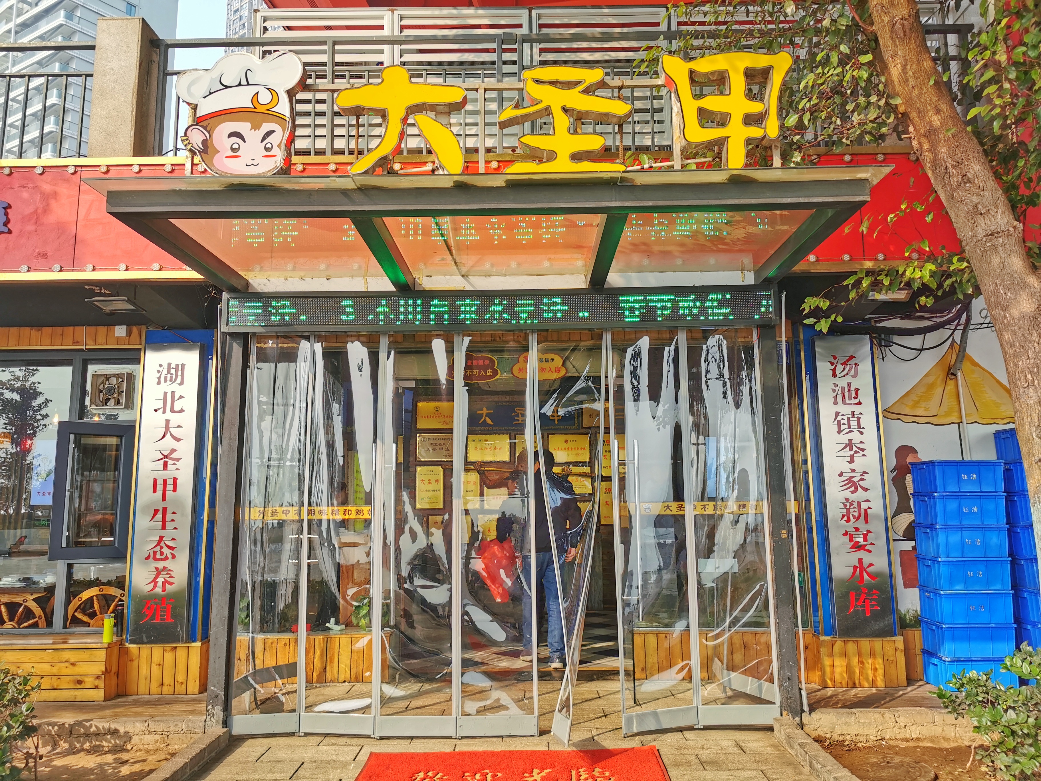 甲鱼店优势劣势,2019全国甲鱼销量