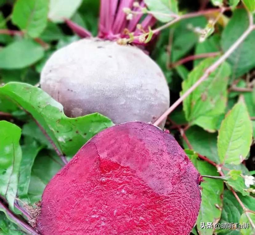 疫情不严重了口罩还能卖吗,疫情发生后我应该怎么办