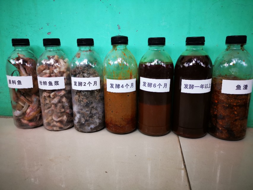解盐菌深海鱼油,重磅关注