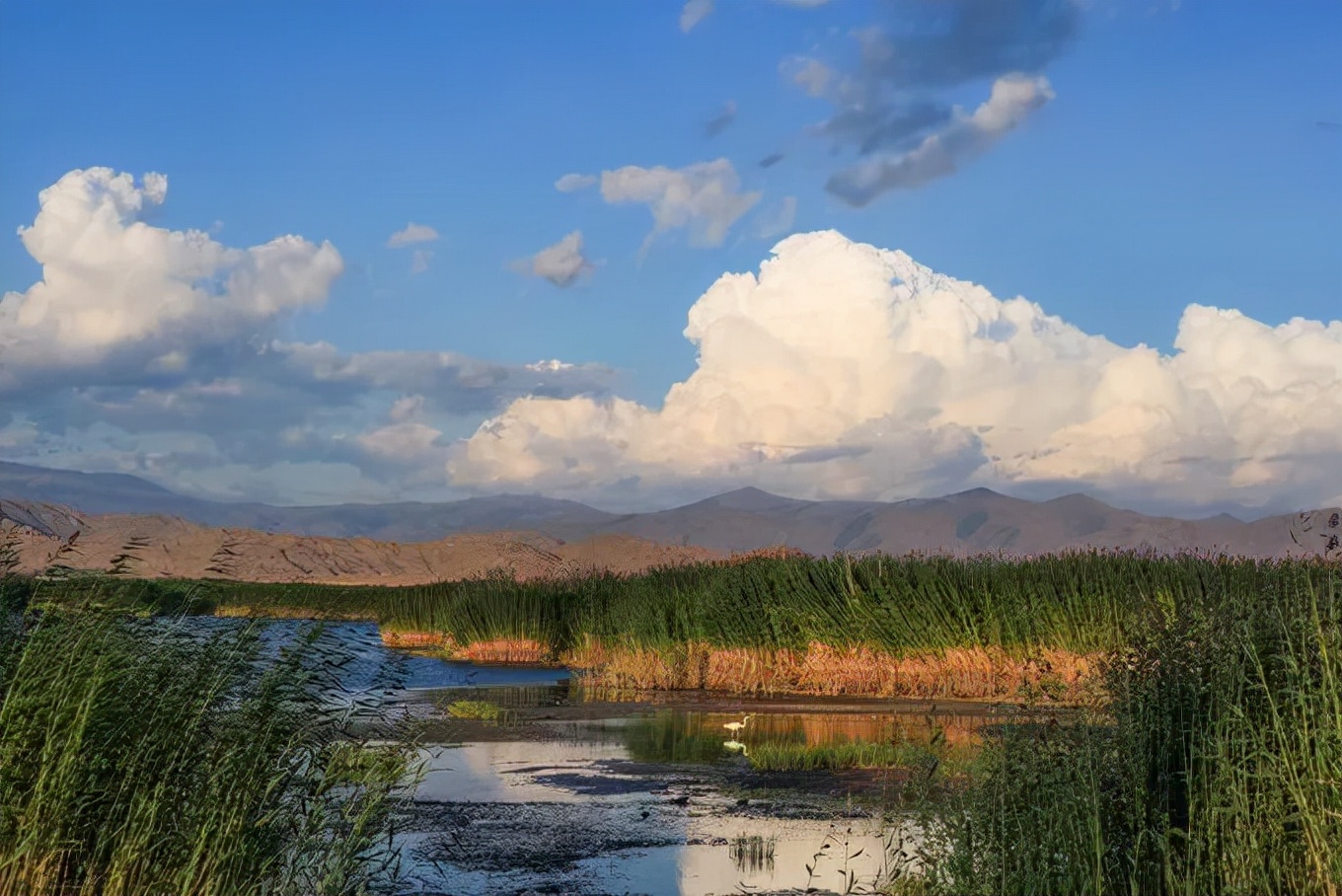 北疆四季,北疆的四季美景