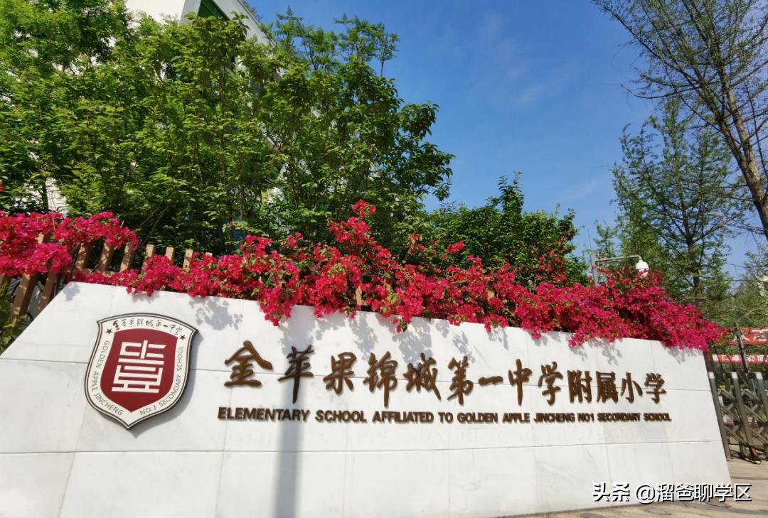 新川学区a区还是b区好,高新区新川板块学区配套如何