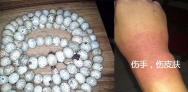 菩提星月盘出来值钱吗,星月菩提手串真假辨别图片