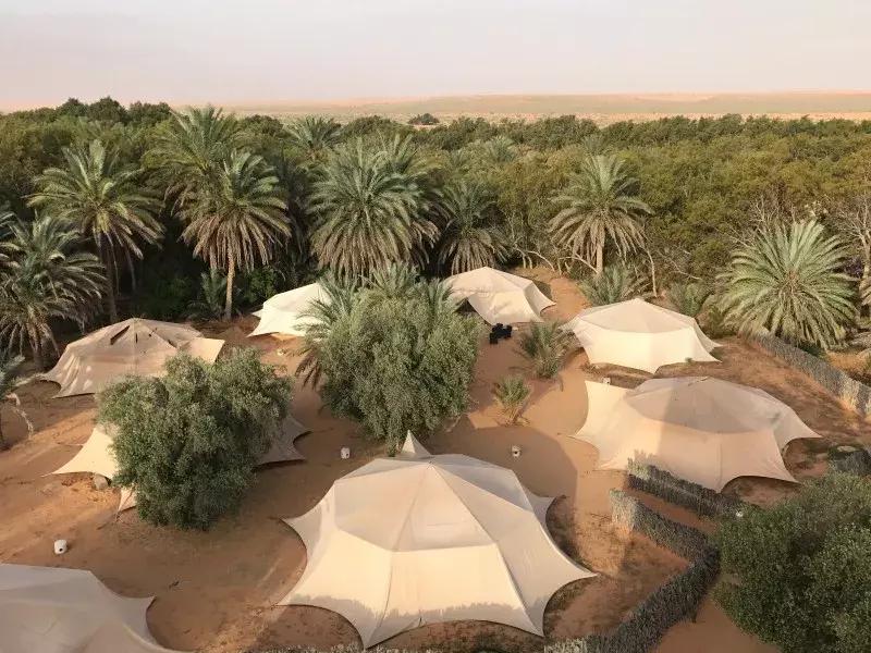 突尼斯是不是地中海,突尼斯一半沙漠